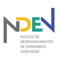 NDEV Brasil logo, NDEV Brasil contact details