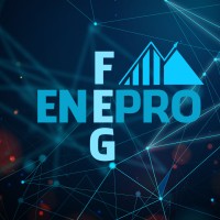 ENEPRO FEG logo, ENEPRO FEG contact details