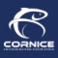 Cornice Environmental Consulting Ltd. logo, Cornice Environmental Consulting Ltd. contact details