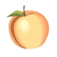 Peach Financial logo, Peach Financial contact details