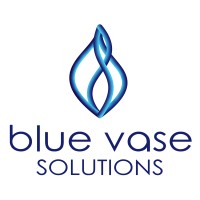 Blue Vase Solutions logo, Blue Vase Solutions contact details