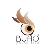 BUHO Consulting logo, BUHO Consulting contact details