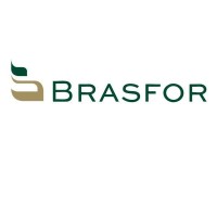 Grupo Brasfor logo, Grupo Brasfor contact details