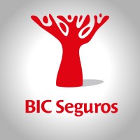 BIC Seguros logo, BIC Seguros contact details