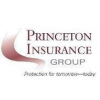 Princeton Insurance Group logo, Princeton Insurance Group contact details