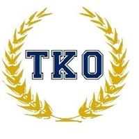 TKO Insurance Agency, LLC logo, TKO Insurance Agency, LLC contact details