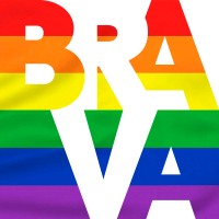 BRAVA Executive Search logo, BRAVA Executive Search contact details