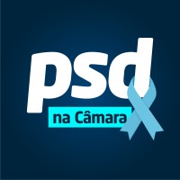 Liderança do PSD na Câmara logo, Liderança do PSD na Câmara contact details