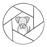 All Dog Kind logo, All Dog Kind contact details