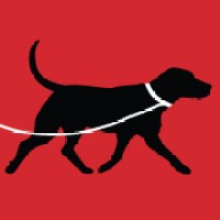 Dogs of Distinction Canine Training Inc logo, Dogs of Distinction Canine Training Inc contact details