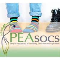 PEAsocs logo, PEAsocs contact details