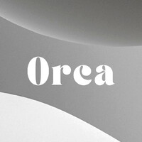 Orca Comm logo, Orca Comm contact details