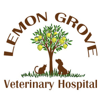 Lemon Grove Veterinary Hospital logo, Lemon Grove Veterinary Hospital contact details