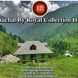 Royal Collection Hotels & Resorts Pvt. Ltd . logo, Royal Collection Hotels & Resorts Pvt. Ltd . contact details