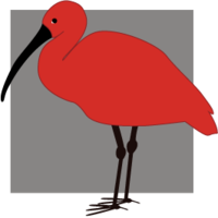 Scarlet Ibis Gallery logo, Scarlet Ibis Gallery contact details