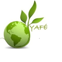 Yafe Consultants - Food Safety and Health and Safety logo, Yafe Consultants - Food Safety and Health and Safety contact details