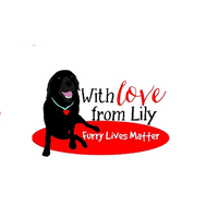 With Love From Lily logo, With Love From Lily contact details