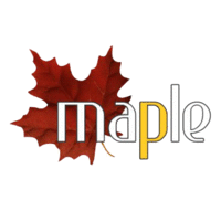 Maple IELTS College logo, Maple IELTS College contact details