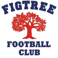 Figtree Football Club logo, Figtree Football Club contact details