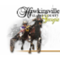 City of Hawkinsville logo, City of Hawkinsville contact details