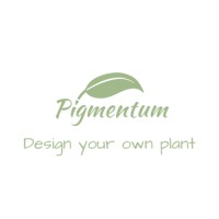 Pigmentum Ltd. logo, Pigmentum Ltd. contact details