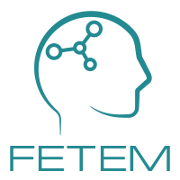 FETEM logo, FETEM contact details