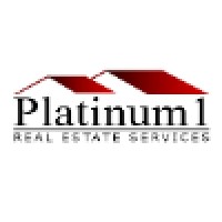 Platinum1 Corp logo, Platinum1 Corp contact details