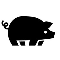 The Cool Piggy logo, The Cool Piggy contact details