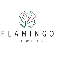 Flamingo Flowers BV logo, Flamingo Flowers BV contact details