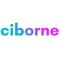 Ciborne Technologies logo, Ciborne Technologies contact details