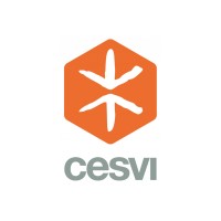 Cesvi Pakistan logo, Cesvi Pakistan contact details