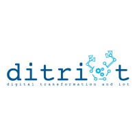 DITRIOT Consulting logo, DITRIOT Consulting contact details