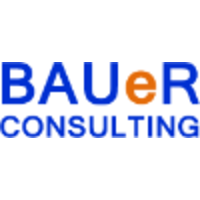 BAUeR Consulting logo, BAUeR Consulting contact details