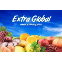 Extra Global Company logo, Extra Global Company contact details