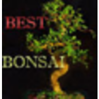 Best-bonsai.com logo, Best-bonsai.com contact details