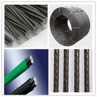 TIANRUI STEEL CO.,LTD logo, TIANRUI STEEL CO.,LTD contact details