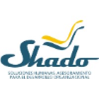 Shado Consultora logo, Shado Consultora contact details