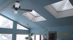 Snyder Painting logo, Snyder Painting contact details