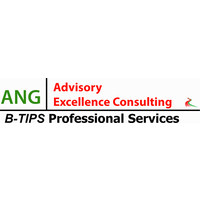 ANG | Advisory Excellence Consulting logo, ANG | Advisory Excellence Consulting contact details