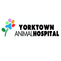 Yorktown Animal Hospital logo, Yorktown Animal Hospital contact details