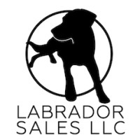 Labrador Sales LLC logo, Labrador Sales LLC contact details