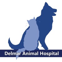 Delmar Animal Hospital logo, Delmar Animal Hospital contact details