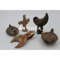 Antiqua logo, Antiqua contact details