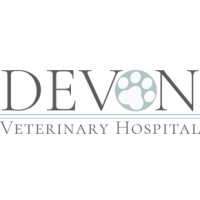 Devon Veterinary Hospital logo, Devon Veterinary Hospital contact details