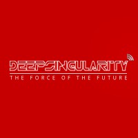 DeepSingularity LLC logo, DeepSingularity LLC contact details