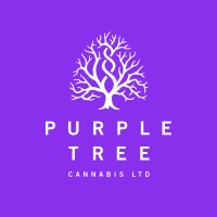 Purple Tree Cannabis logo, Purple Tree Cannabis contact details