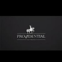 Providential Financial Service logo, Providential Financial Service contact details