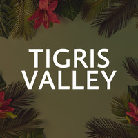 Tigris Valley logo, Tigris Valley contact details