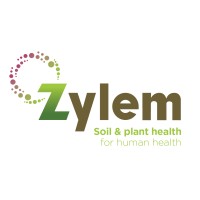 Zylem logo, Zylem contact details