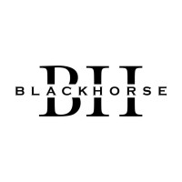 BlackHorse logo, BlackHorse contact details